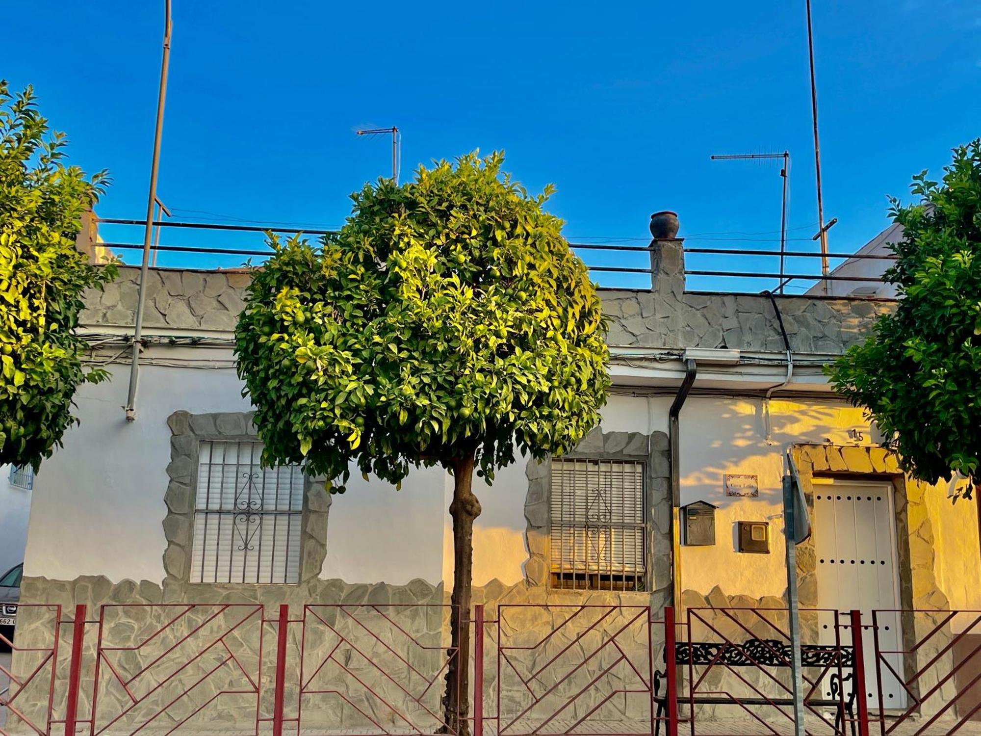 Casa Lula Villa Villafranca de Cordoba Exterior photo
